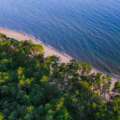 Piękna plaża i las nad Bałtykiem, idealne miejsce na wakacje w stylu naturyzm Polska.