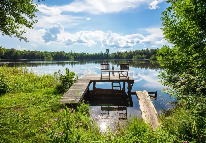 Idealne miejsce na camping Bory Tucholskie: pomost z krzesłami nad spokojnym jeziorem, otoczony zielenią.