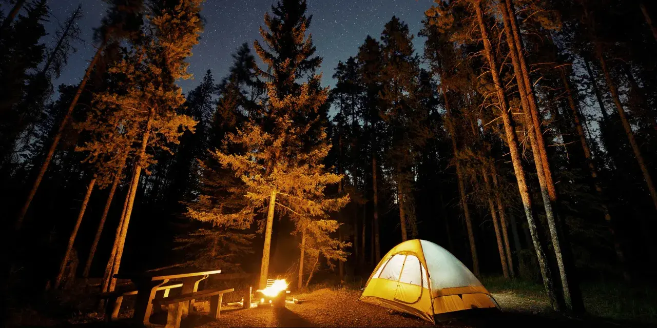 Nocny camping w Górach Stołowych. Rozświetlony namiot i ognisko w lesie pod rozgwieżdżonym niebem.