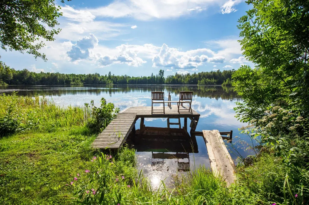 Idealne miejsce na camping Bory Tucholskie: pomost z krzesłami nad spokojnym jeziorem, otoczony zielenią.