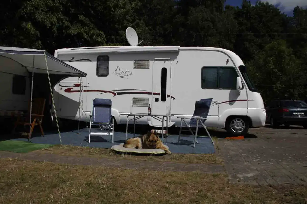 Kamper i pies odpoczywają na kempingu. Idealne miejsce na tanie kempingi nad morzem.