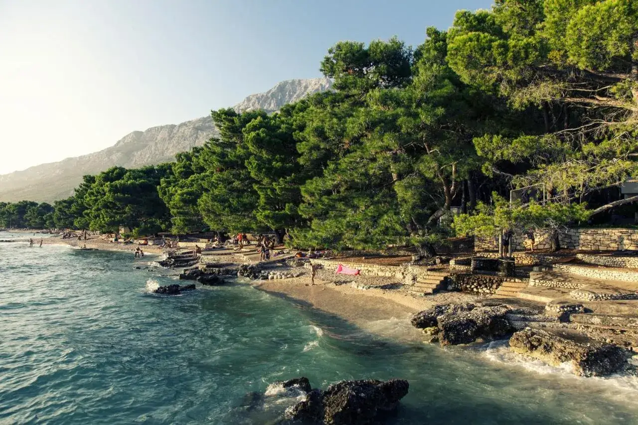 Słoneczna plaża z sosnami, kamienistym wybrzeżem i turkusową wodą. Idealne miejsce na relaks w Baško Polje camping.
